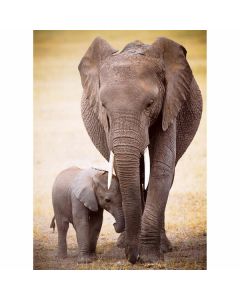 Elephant & Baby pussel 1000 bitar