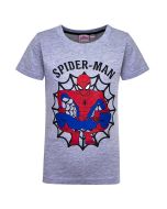 Spiderman T-shirt - Superhero